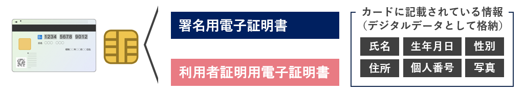 ICチップに格納されているデータ