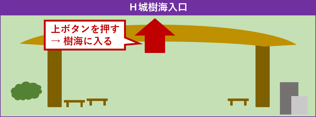 樹海に入る