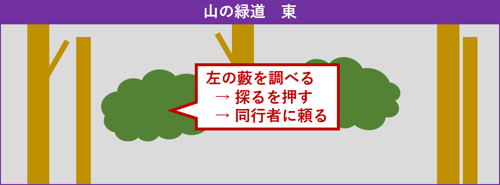 山の緑道東探索