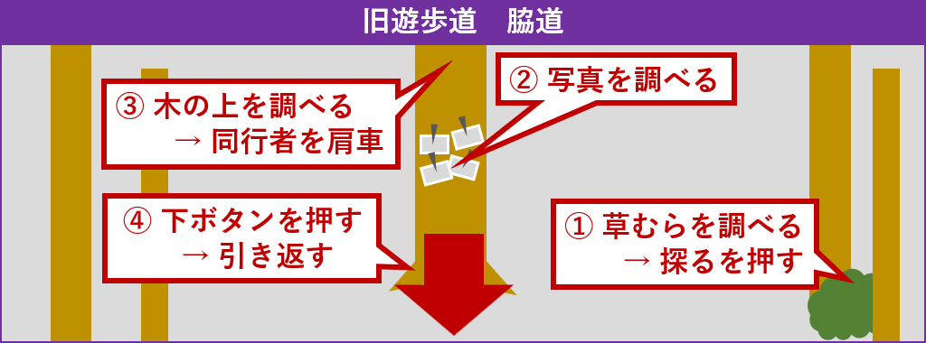 旧遊歩道脇道探索