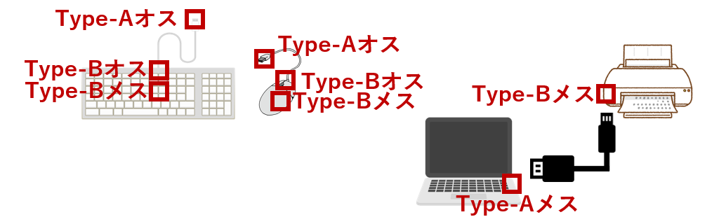 オスメスの組み合わせ